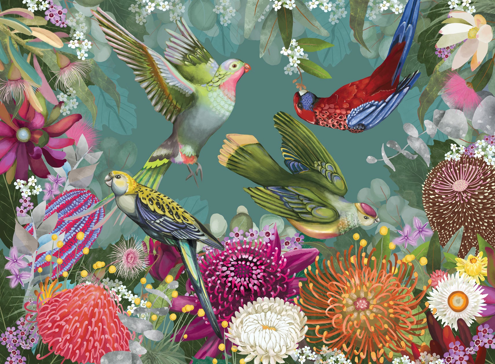 Australian Birds and Florals