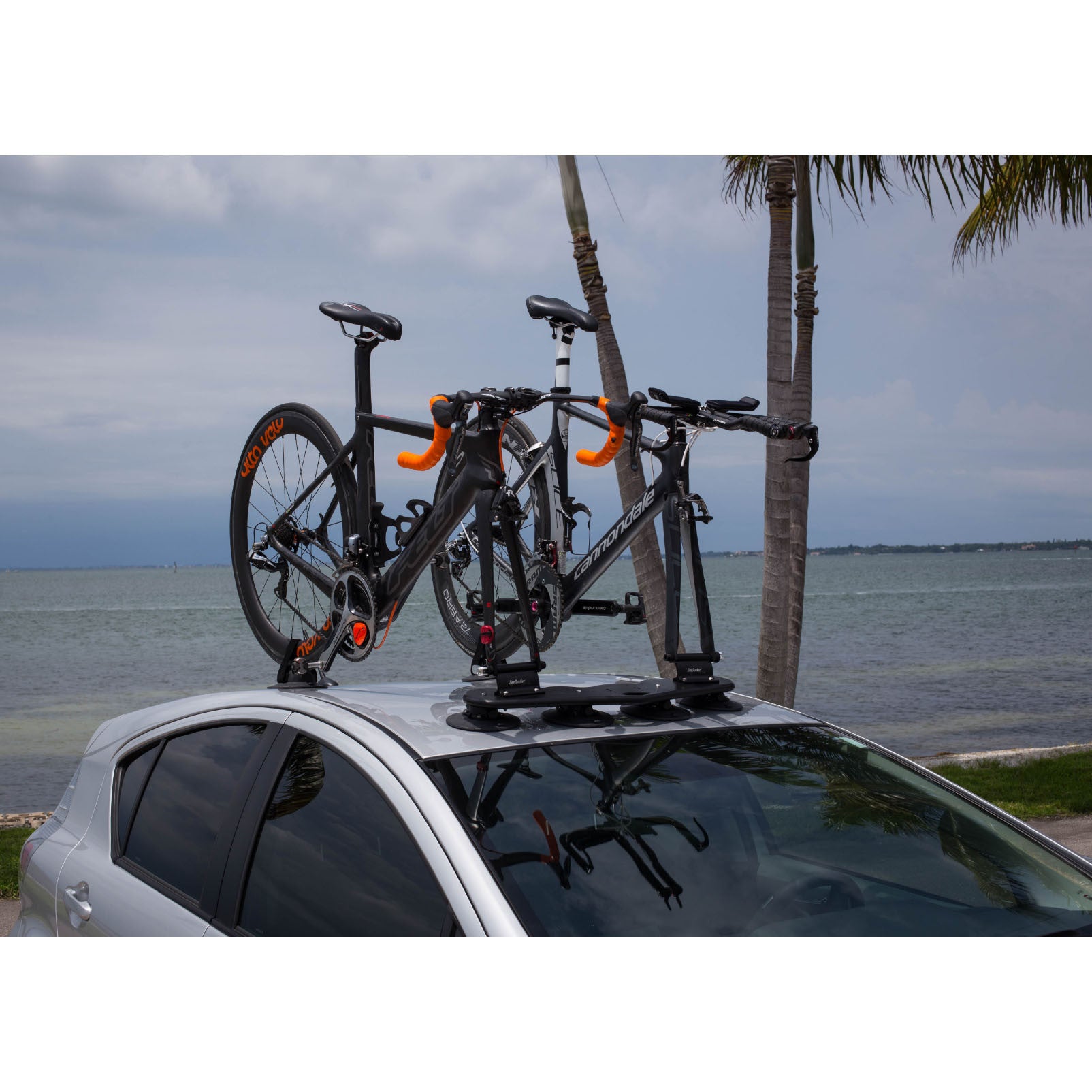 two bicycle rack