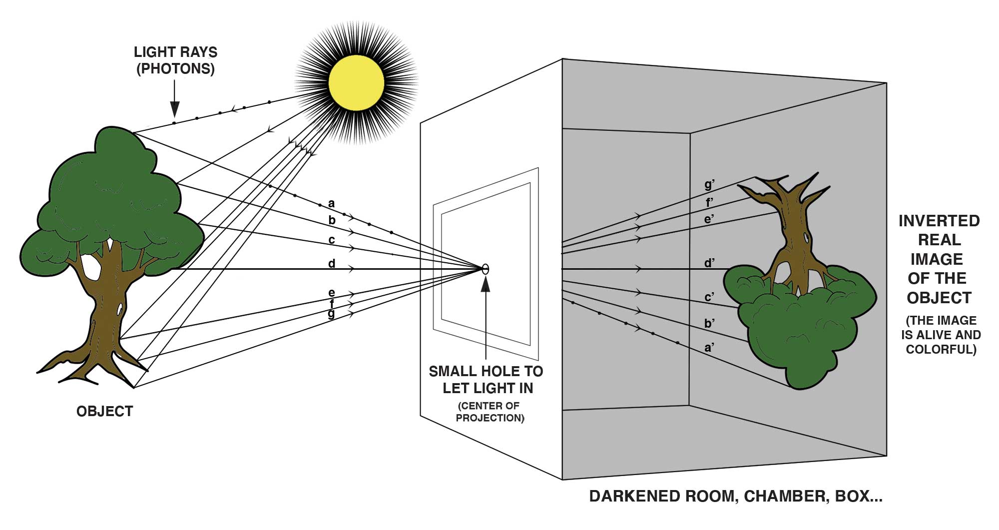 Bonfoton_Camera Obscura diagram_How does the Camera Obscura Image form 