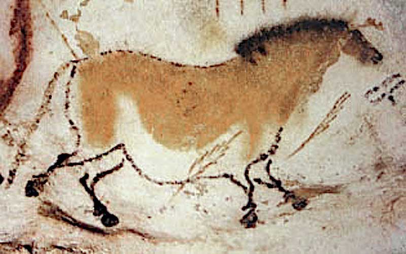 Lascaux Cave Drawing Of a Horse_The shape of the horse is suggested to be effected by using a Camera Obscura projection during drawing