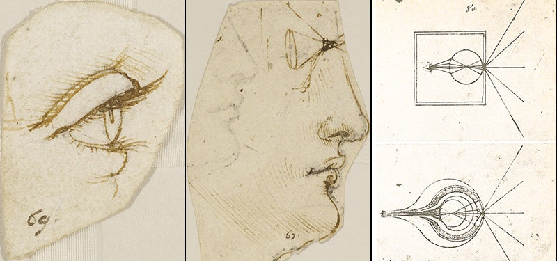 Leonardo da Vinci used the Camera Obscura as the model of the eye. Three images of the eye.