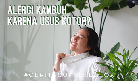 cerita sukses detox