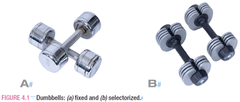 Fixed dummbell versus selectorized dumbbell photo