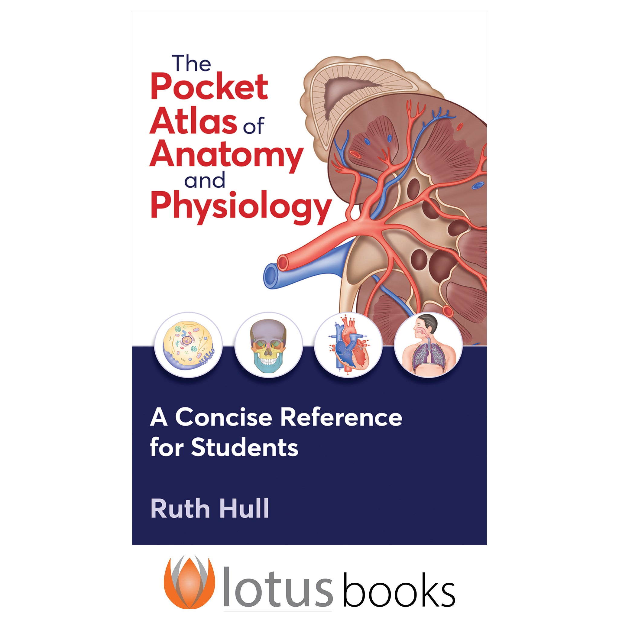 Pocket Atlas of Anatomy and Physiology epub, The