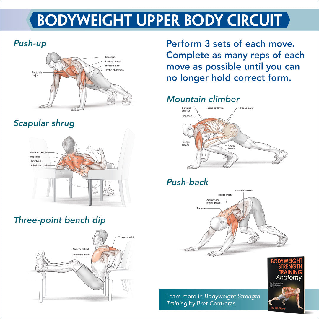 Bodyweight Upper Body Circuit – Human Kinetics Canada