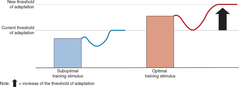 FIGURE 1.4 Relationship of training stimulus to the threshold of adaptation. Adapted by permission from T.O. Bompa and G.G. Haff, Periodization: Theory and Methodology of Training, 5th ed., (Champaign, IL: Human Kinetics, 2009).