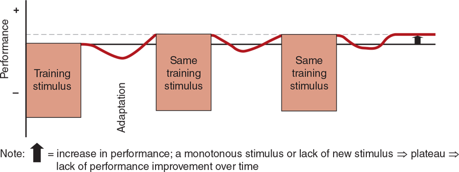 FIGURE 1.6 Monotonous training stimulus and adaptations. Adapted from Bompa and Haff (2009).