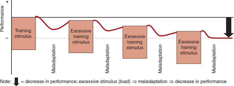 FIGURE 1.7 Excessive training stimulus and adaptations. Adapted from Bompa and Haff (2009).
