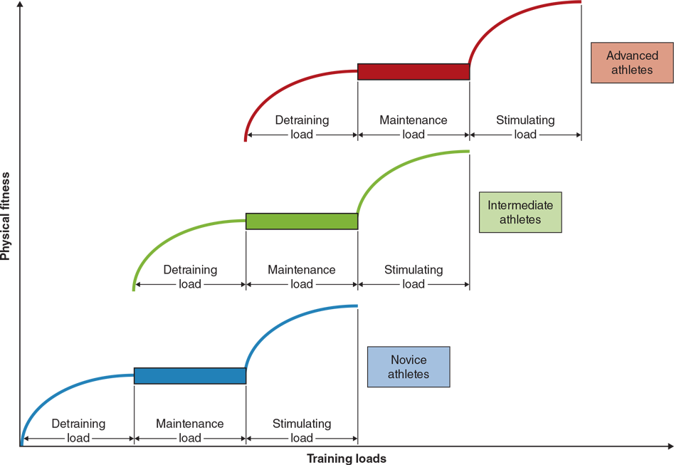 FIGURE 1.8 Relationship of detraining, maintenance, and stimulating load to training status.