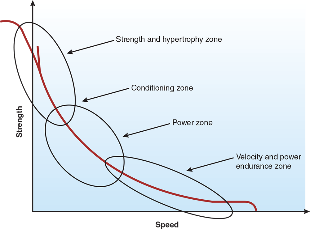 Figure 1.27 – Strength versus speed curve.