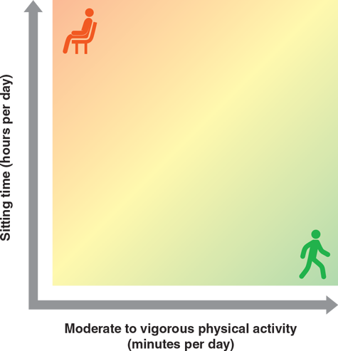 Figure 15.4 Sitting time and moderate to vigorous physical activity time interact to impact risk of all-cause mortality. Adapted from 2018 Physical Activity Guidelines Advisory Committee Scientific Report.