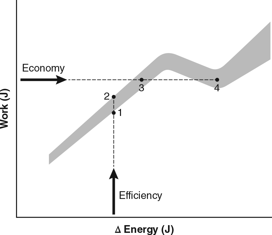 Figure 4.25 Economy and efficiency as distinct ratios of the energetic cost (Δ energy) of performing work.