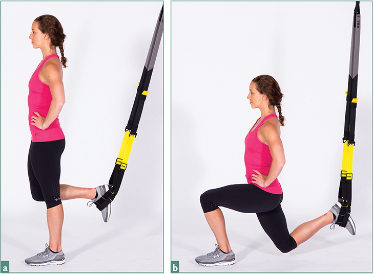 Suggested testing battery using the TRX Suspension Trainer® – Human  Kinetics Canada