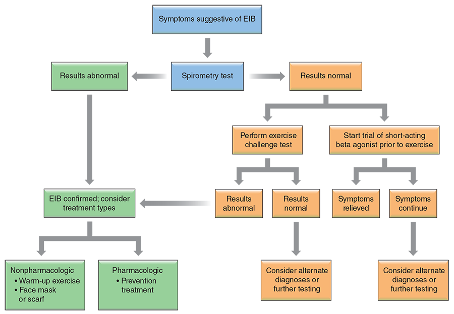 FIGURE 6.9 Decision tree for the diagnosis of exercise-induced bronchoconstriction (EIB).