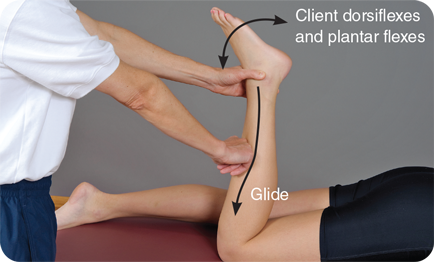 Figure 5.26 Using gliding soft tissue release on the tibialis anterior.