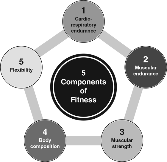 Figure 5.1 Five components of fitness.