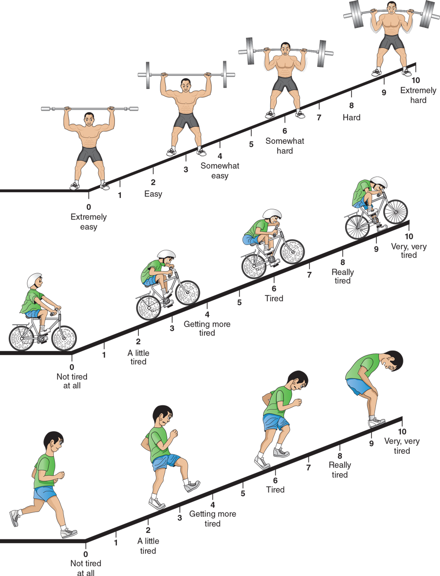 Reprinted by permission from R.J. Robertson, Perceived Exertion for Practitioners: Rating Effort with the OMNI Picture System (Champaign, IL: Human Kinetics, 2004), 141.