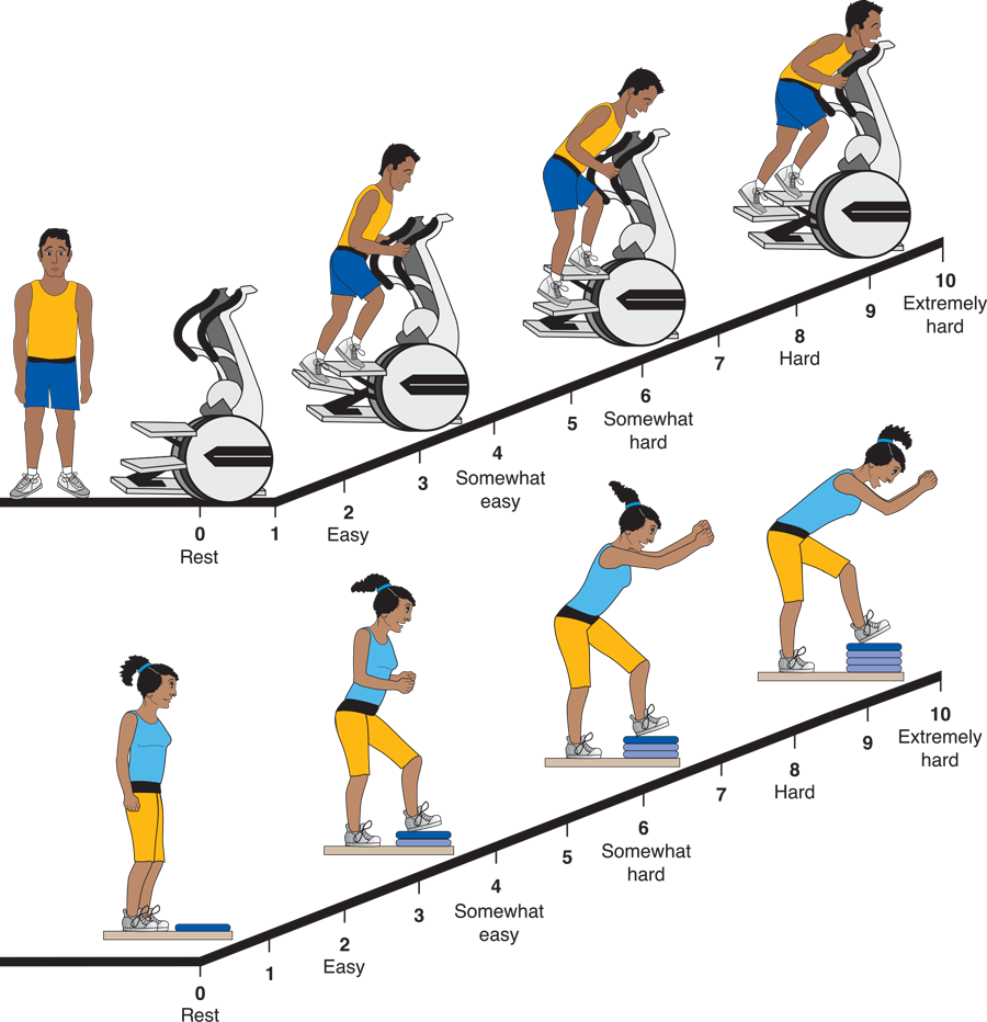 Reprinted by permission from R.J. Robertson, Perceived Exertion for Practitioners: Rating Effort with the OMNI Picture System (Champaign, IL: Human Kinetics, 2004), 141.