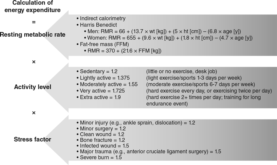 FIGURE 12.2 Athletes can account for additional energy needs while recovering from injuries by multiplying their resting metabolic rate with their activity level and stress factor from that injury. Reprinted by permission from A.E. Smith-Ryan, K.R. Kirsch, H.E. Saylor et al., “Nutritional Considerations and ­Strategies to Facilitate Injury Recovery and Rehabilitation,” Journal of Athletic Training 55, no. 9 (2020): 918-930, https://doi:10.4085/1062-6050-550-19.