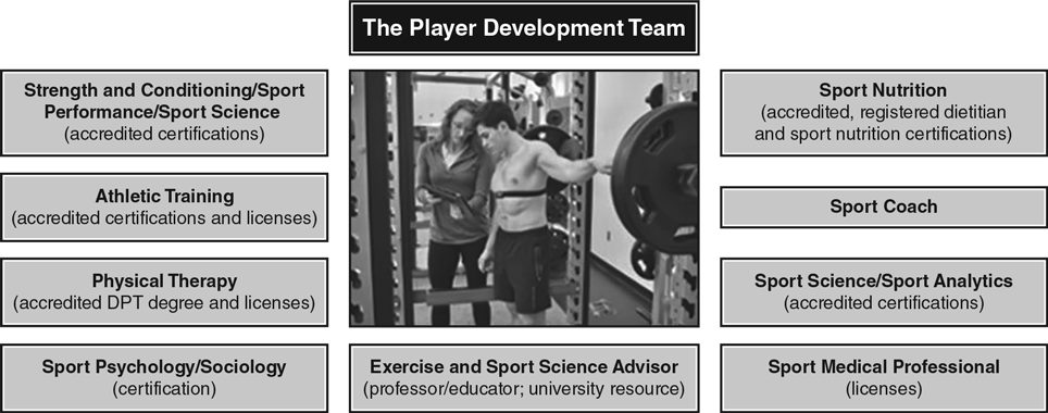 FIGURE 1.1 Different areas of expertise that must be tapped into and used as the domains for a successful player development program. With the use of evidence-based practice approaches and the alignment of the team of professionals, the optimal program can be designed and implemented. Some certifications are accredited by independent accreditation organizations and others are not.