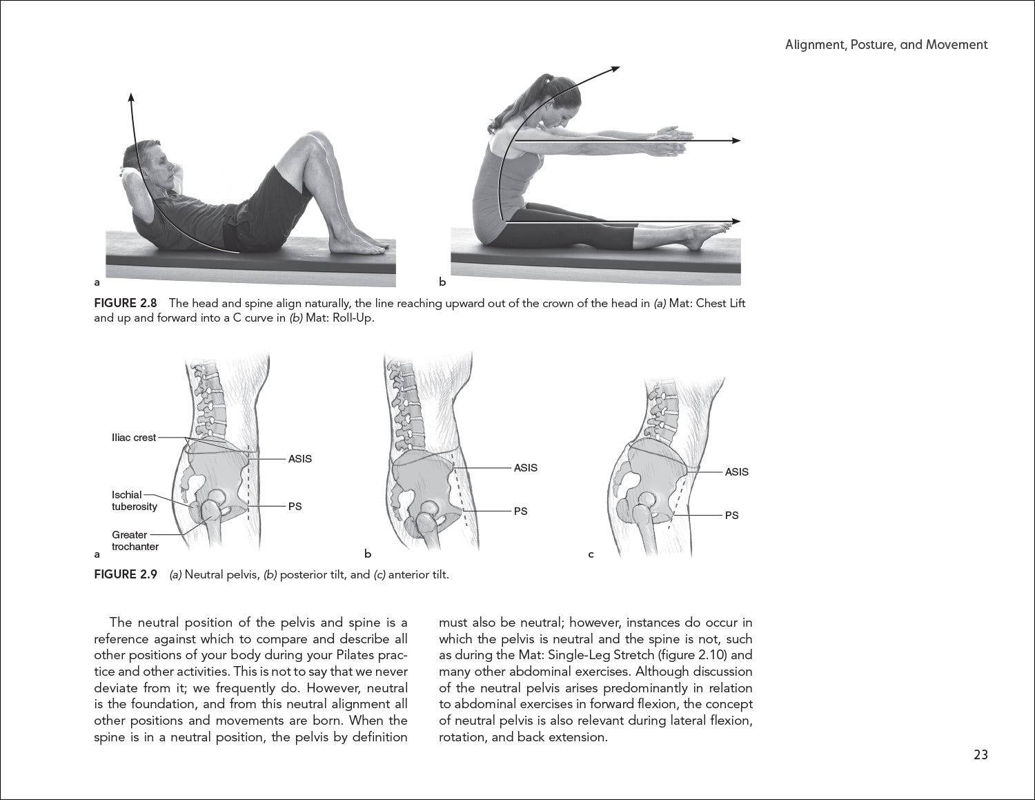 Pilates to the Rescue - Man of Metropolis