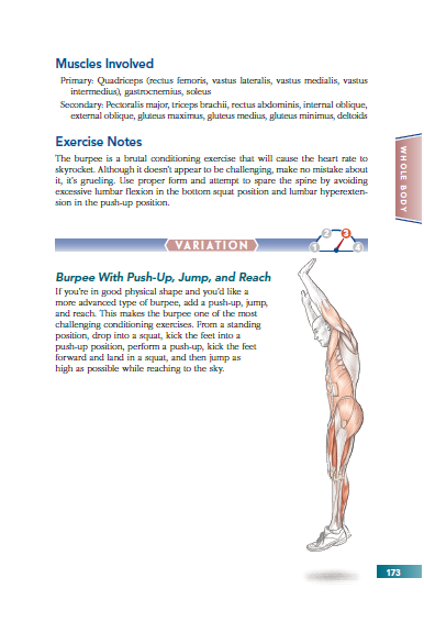 Bodyweight Strength Training Anatomy: Contreras, Bret