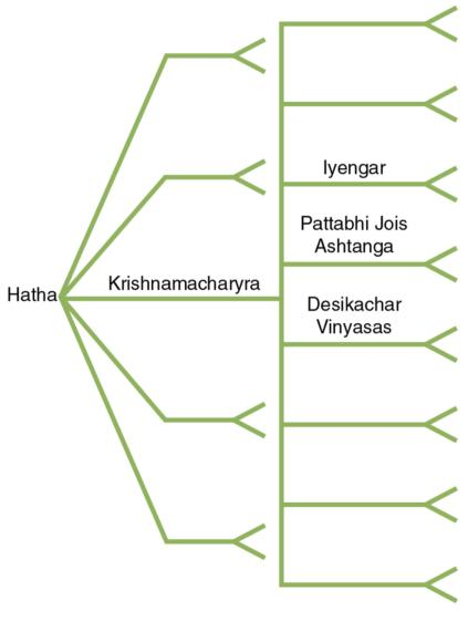 The Four Primary Types Of Yoga Human Kinetics