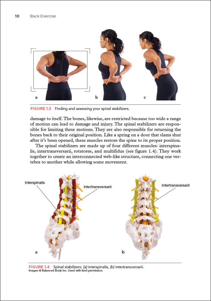 Back Exercise – Human Kinetics