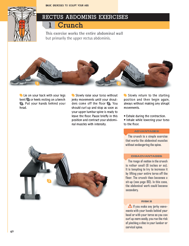 The Detailed Guide about Rectus Abdominis Exercise by SpineGym - Issuu