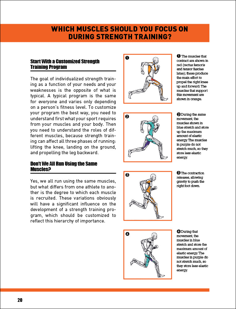 Anatomy of power and speed training