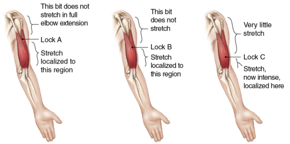 Figure 1.8