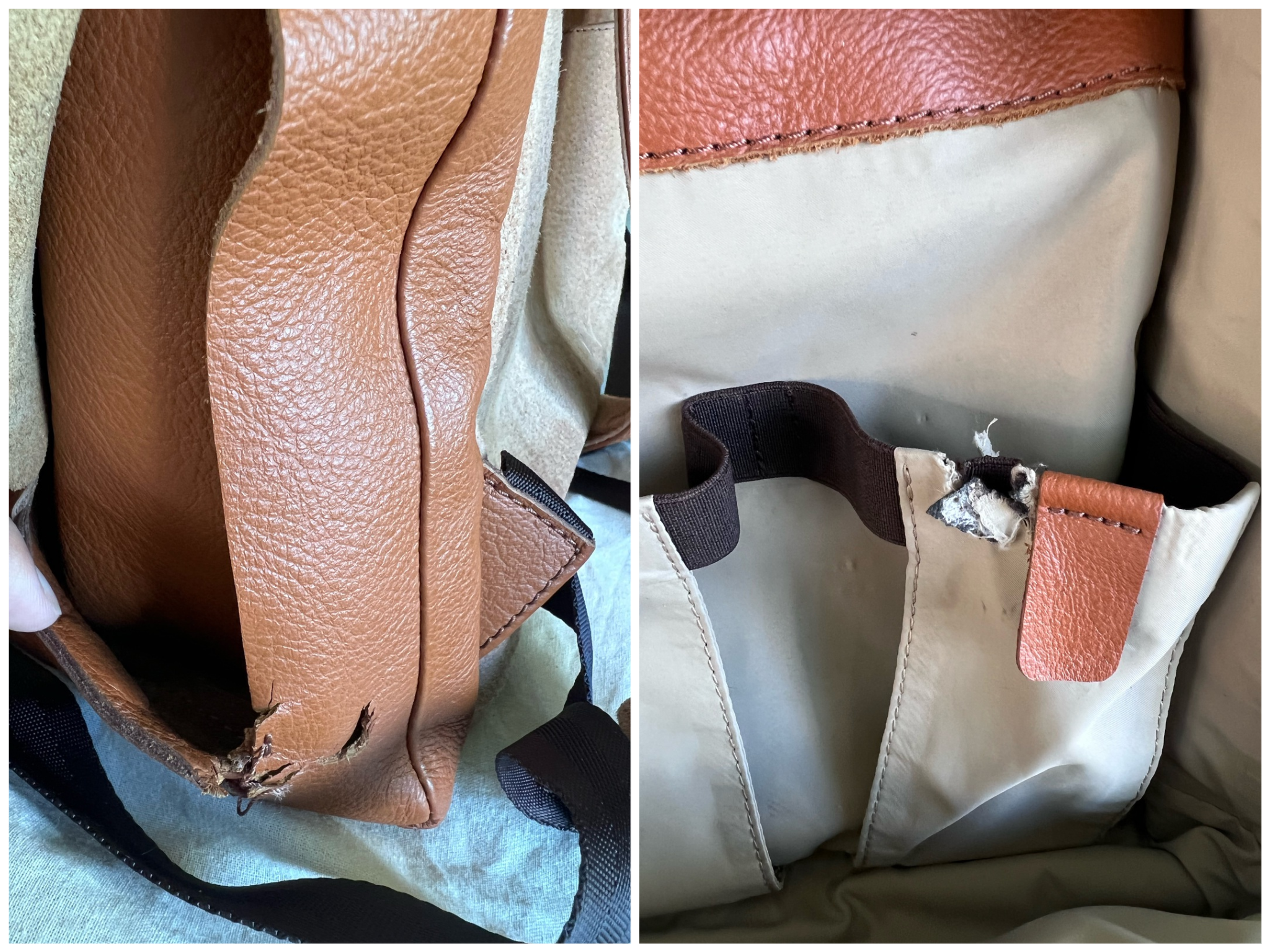 Dog attack on a Diaper Bag Backpack