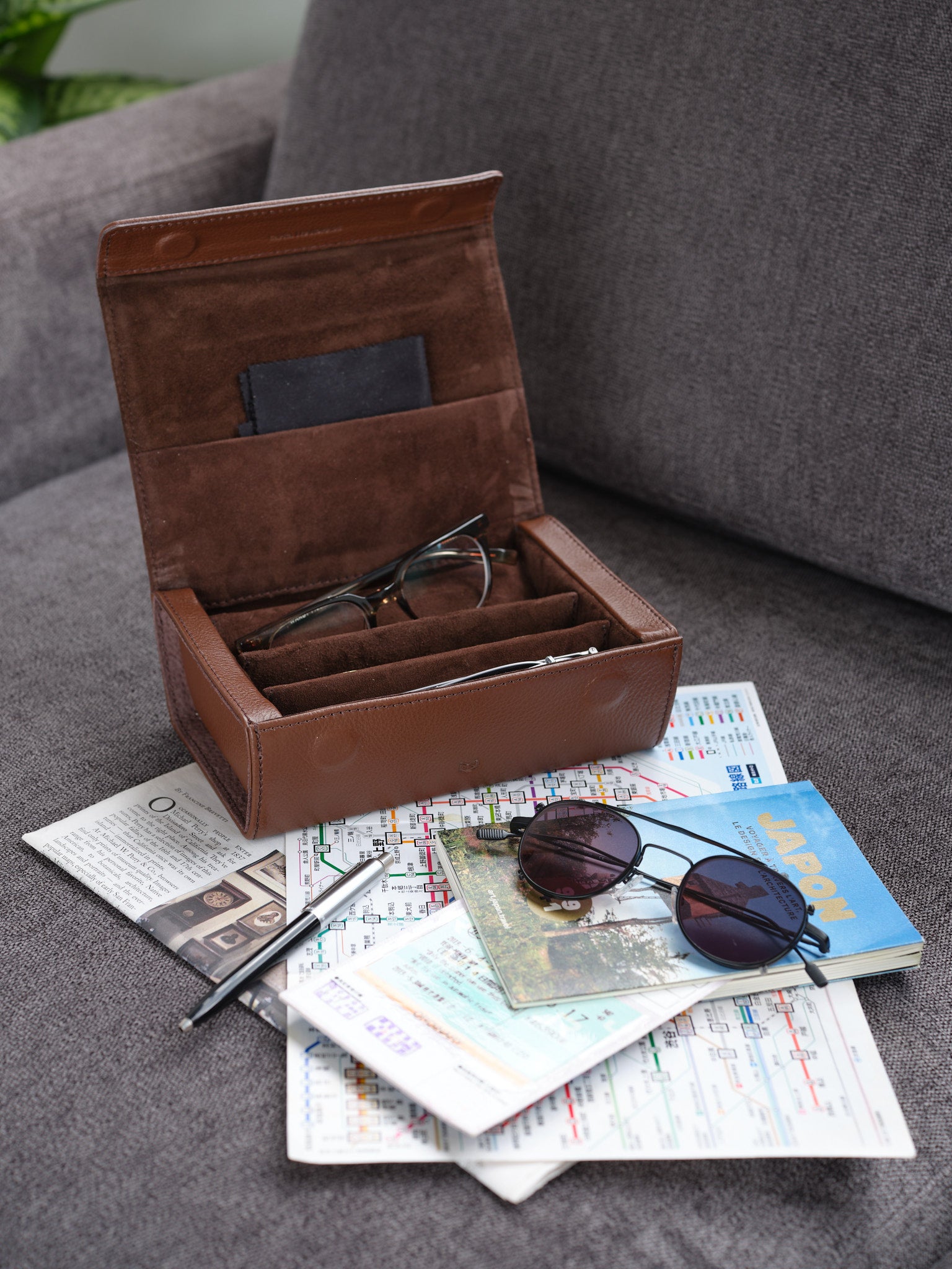 travel sunglass case