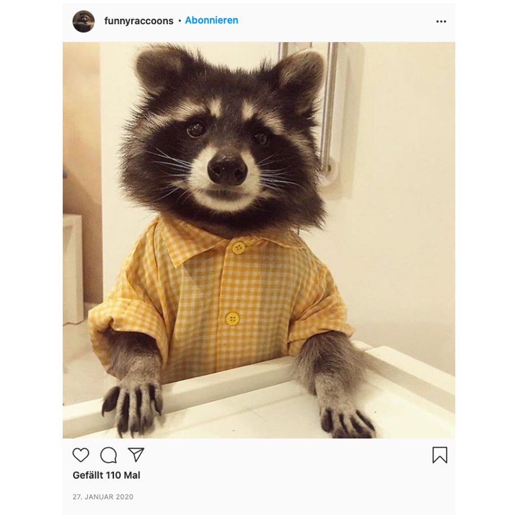 FUNNYRACCOONS INSTAGRAM