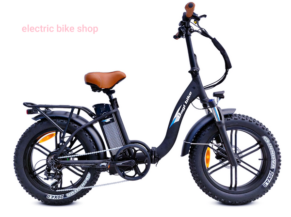 electric bicycle shop