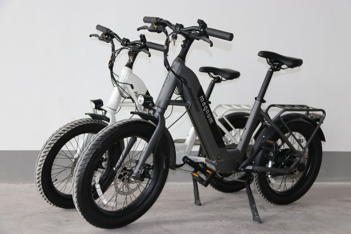 compact electric bike