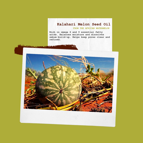 Yangu Beauty Kalahari Melon Seed Oil