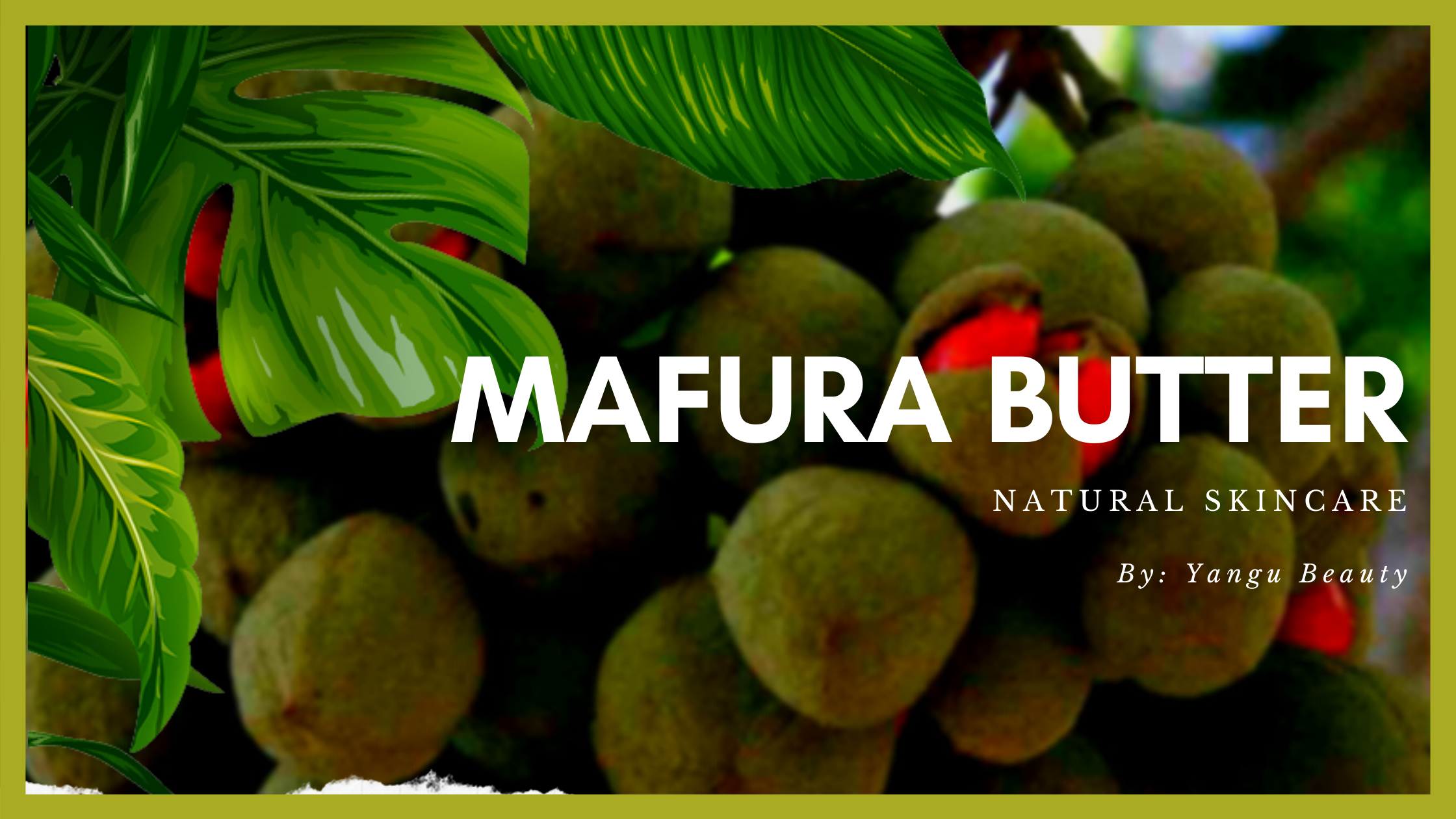 Mafura Butter - Yangu Beauty Natural Skincare