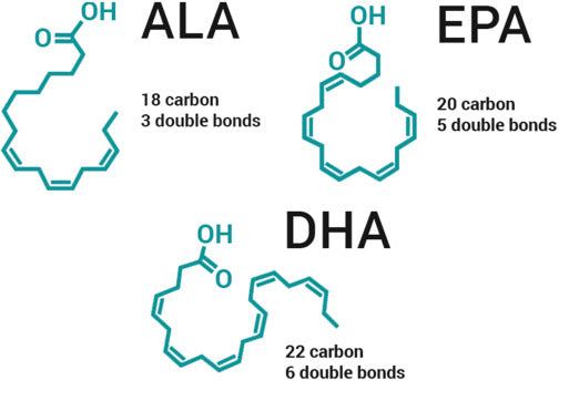 High Omega 3 Foods - Swolverine