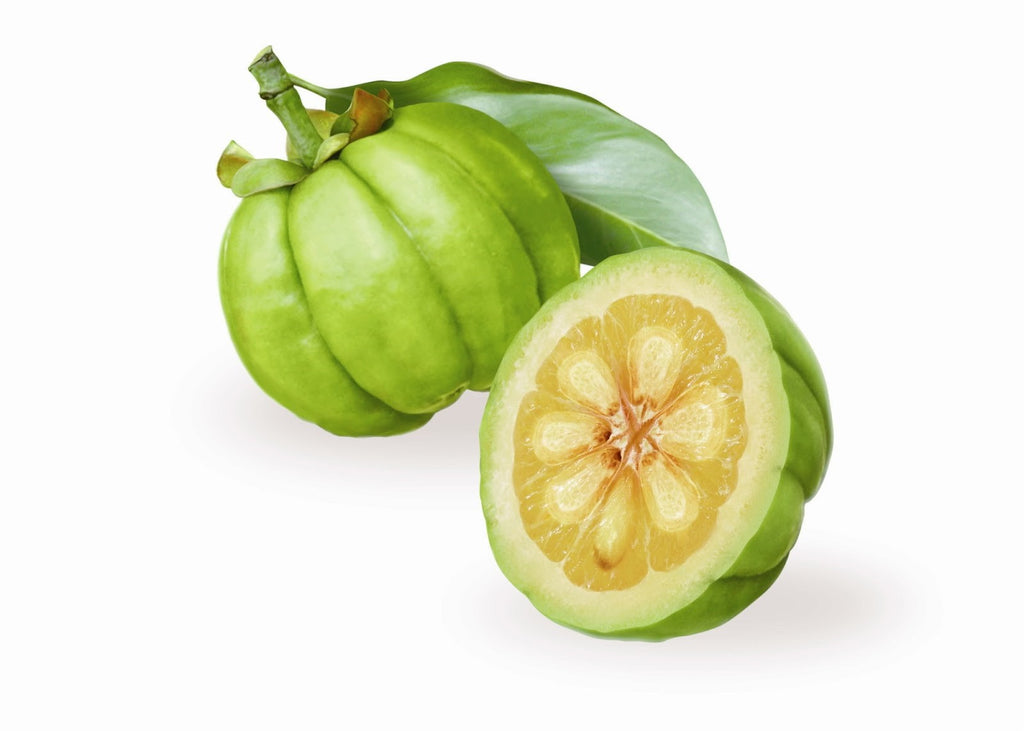 What are the benefits of garcinia cambogia 