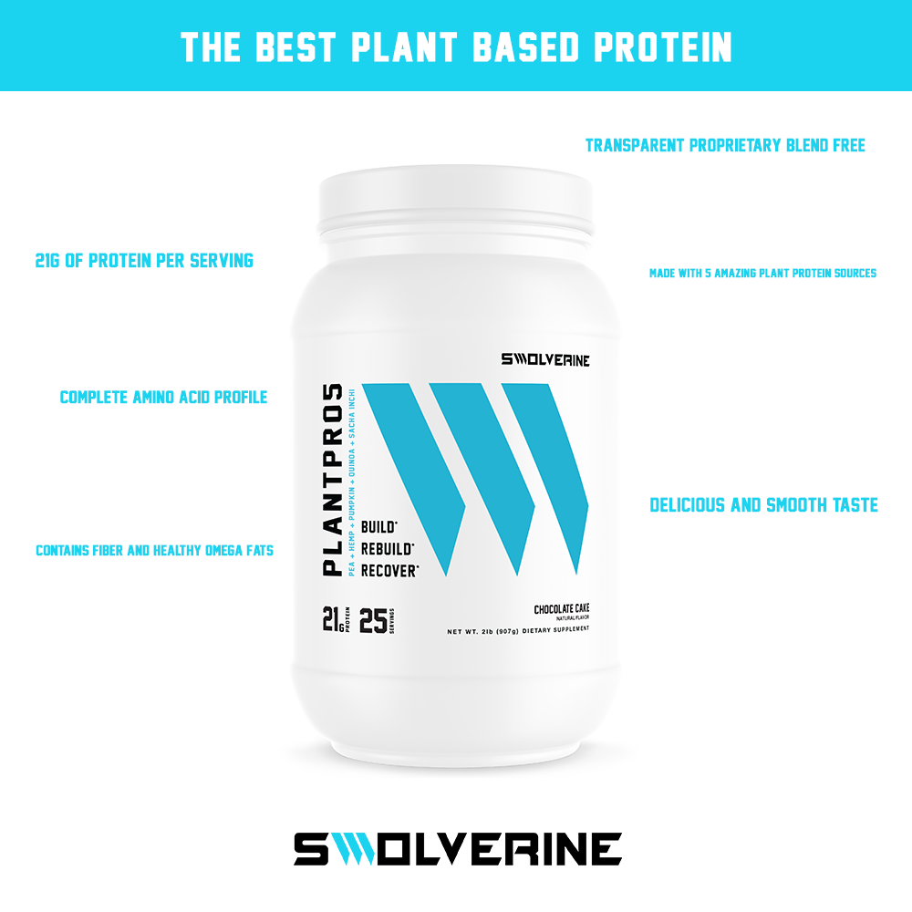 best plant based protein