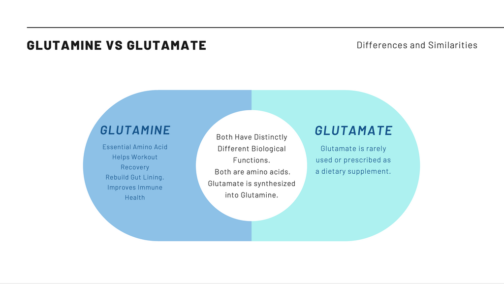 glutamine vs glutamate