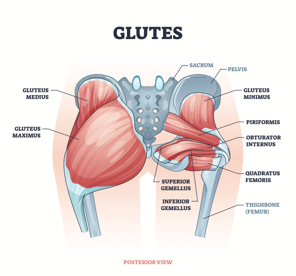 How important are your glutes in a Side Split?