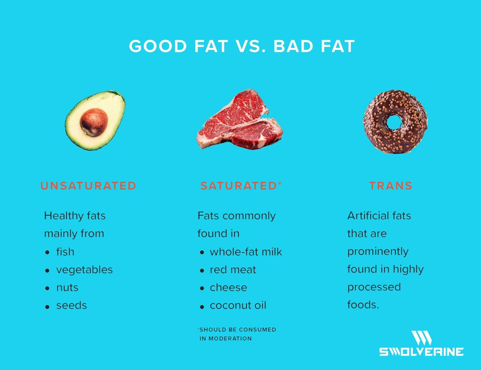 Good Fat Vs Bad Fat Swolverine