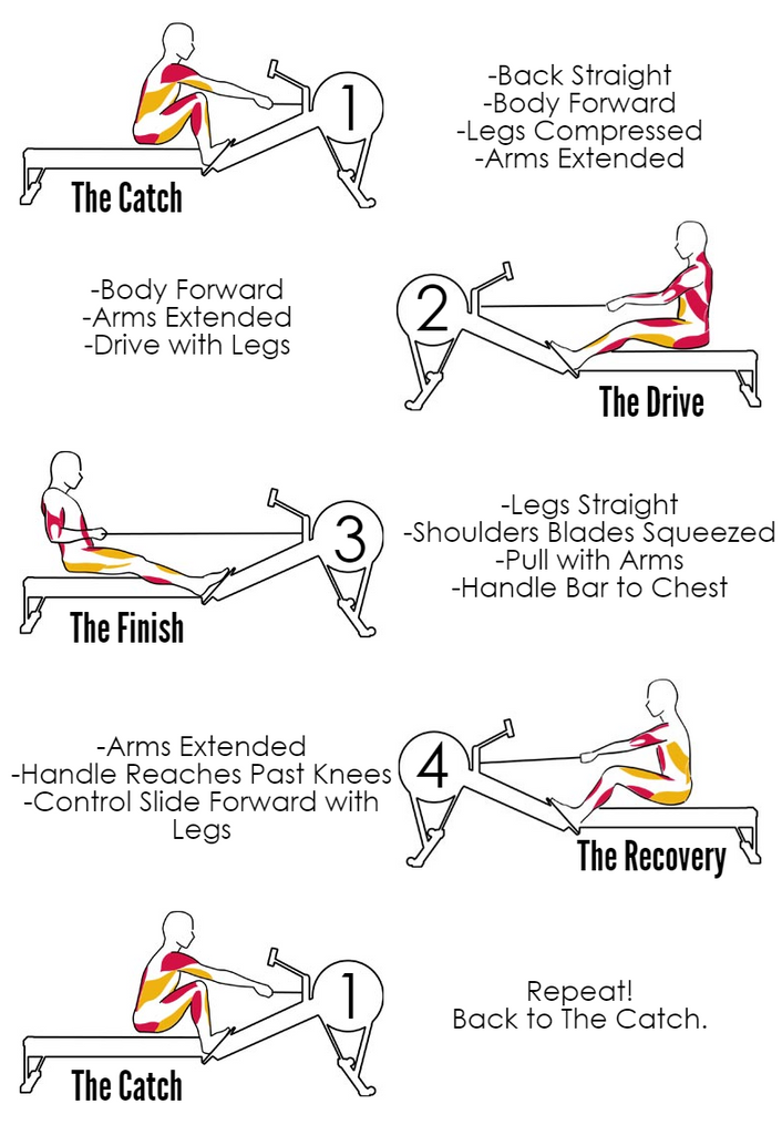How To Get Better At Rowing Form