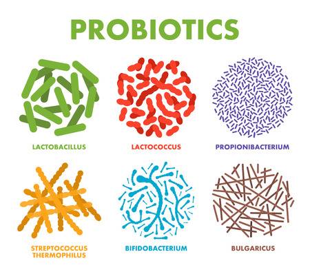 8 Probiotic Rich Foods - Swolverine