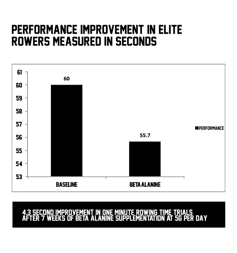 Beta-Alanine Helps Improve Endurance And Performance