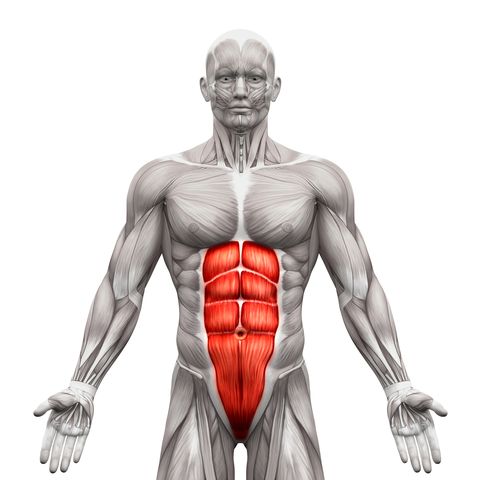 Can You Target Lower Abs?