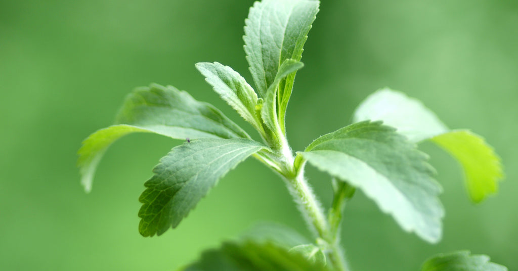 what is the difference between stevia and sucralose