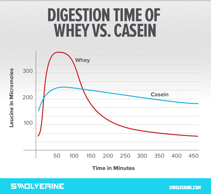 Whey Vs Casein - Swolverine